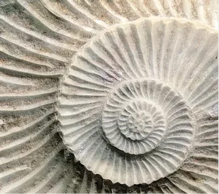 Пара у магазина цветов.